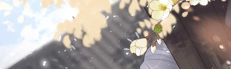 第119话 按计划行事46