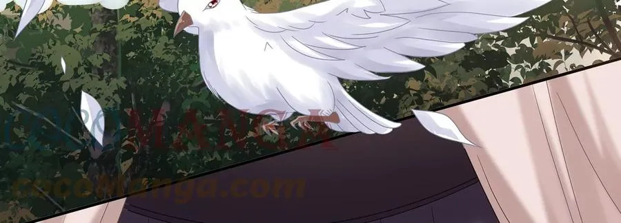 第117话 这仇一定要报18
