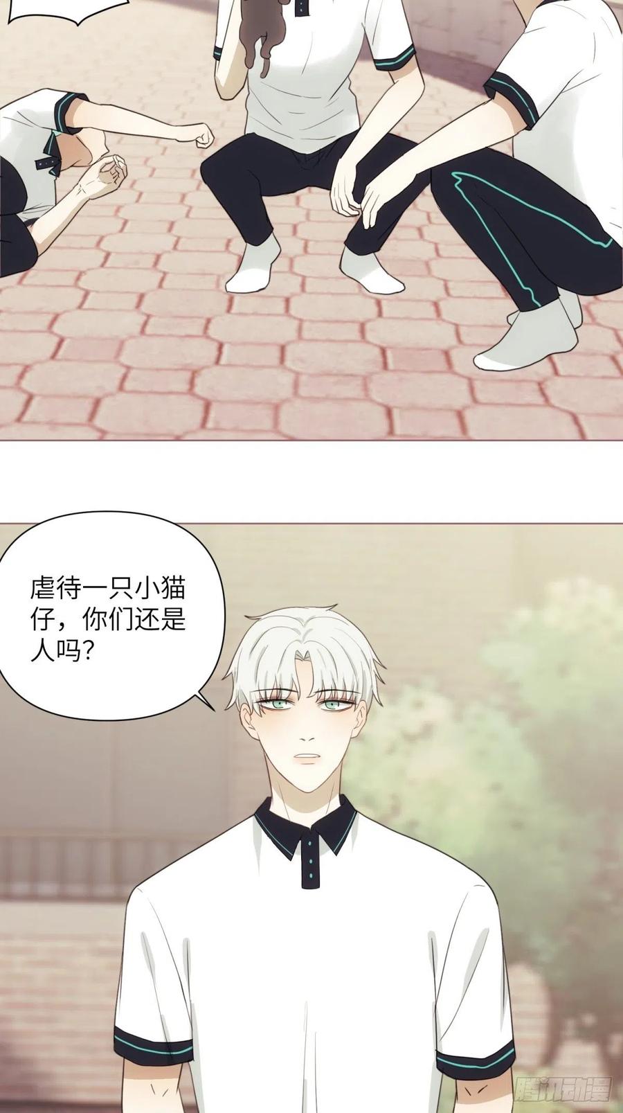 花朝和谢幕过去的故事317
