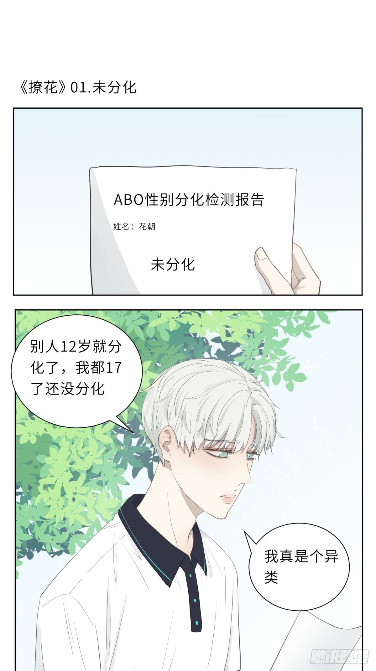 未分化0