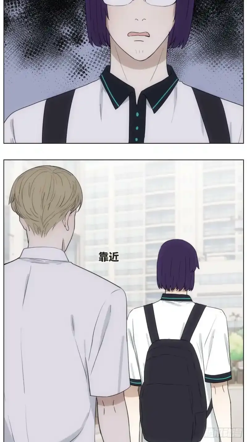 我来帮你追他2