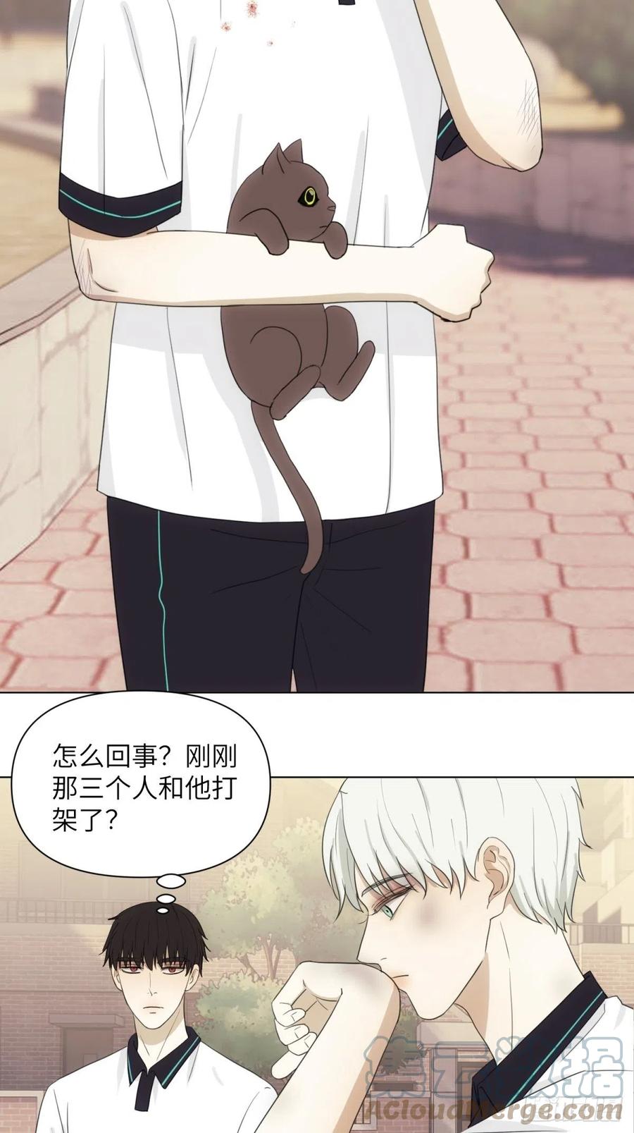 花朝和谢幕过去的故事330