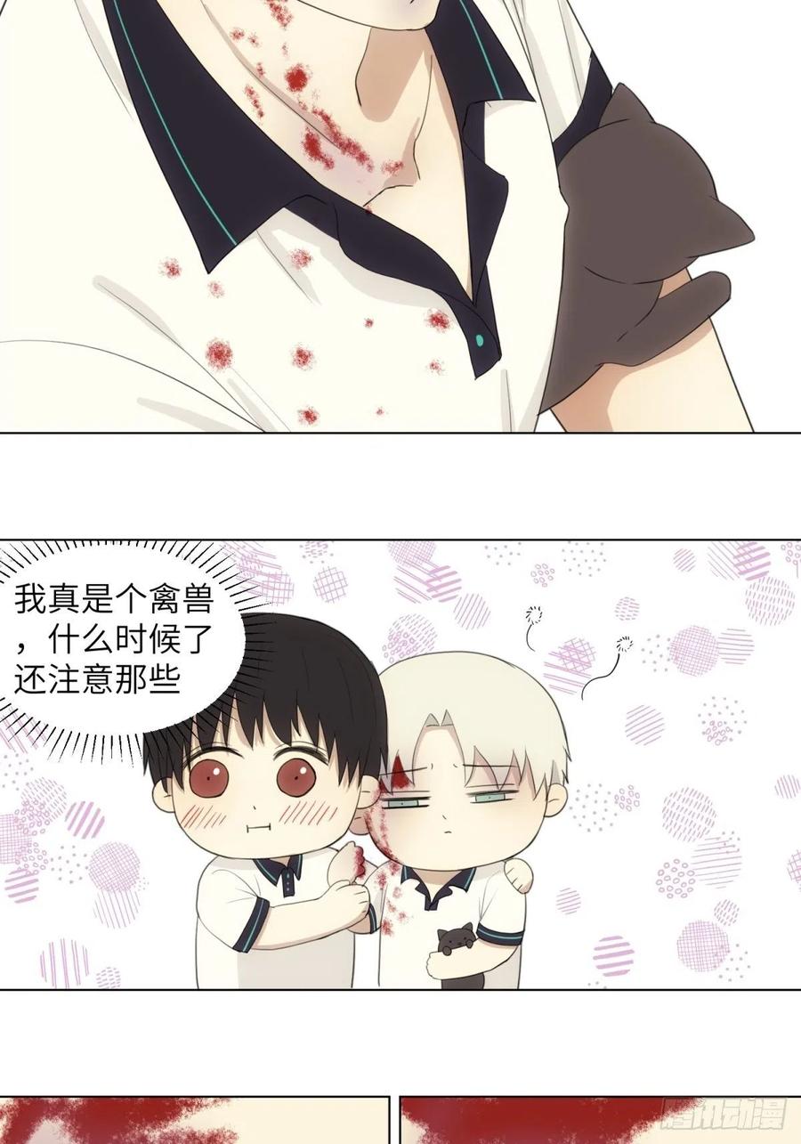 花朝和谢幕过去的故事337