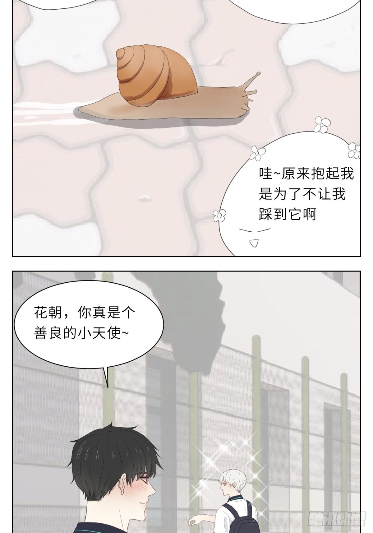 蜗牛9
