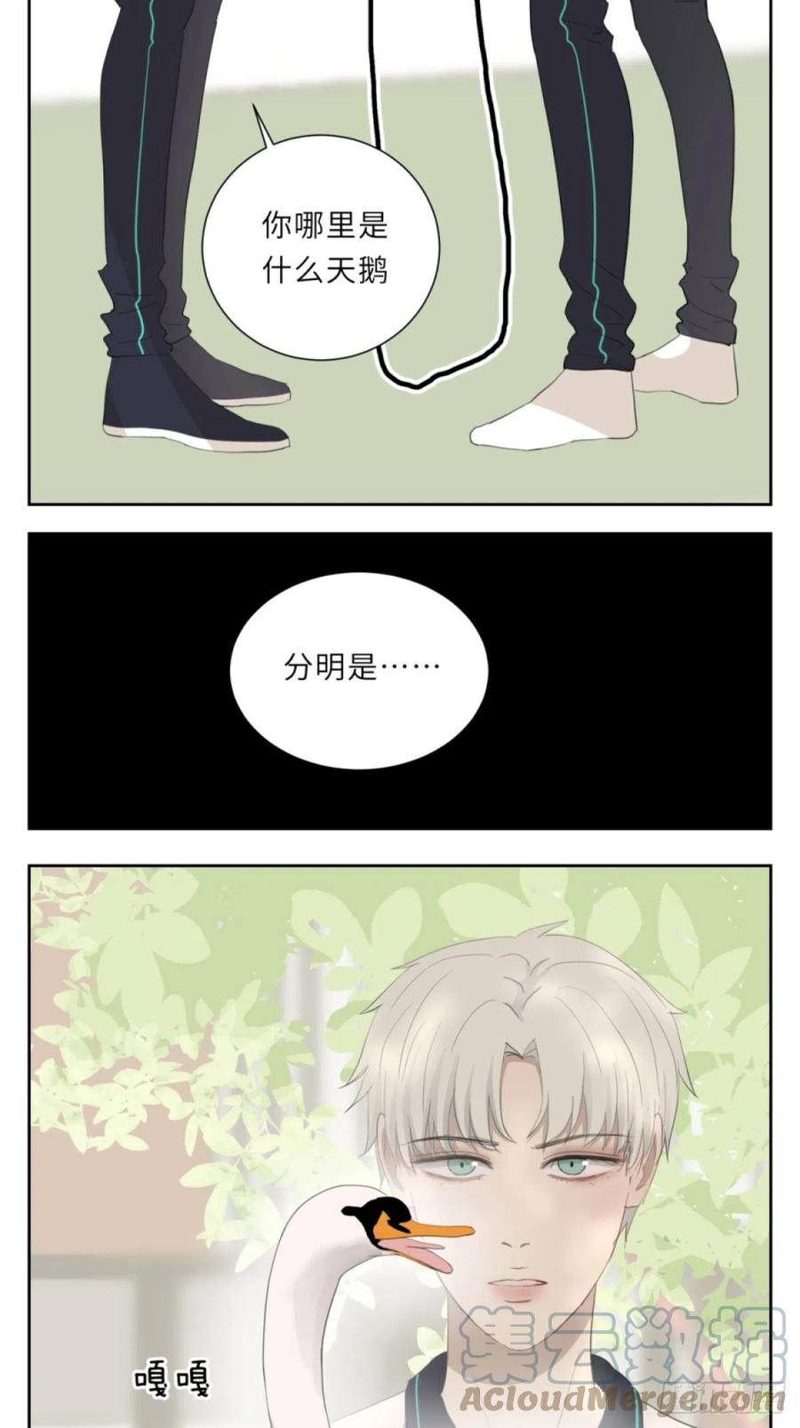 花朝和谢幕过去的故事221