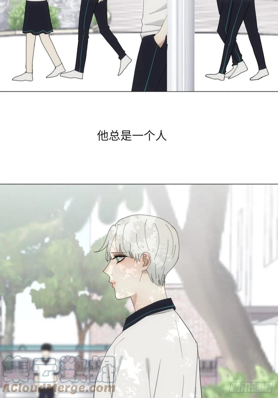 花朝和谢幕过去的故事257