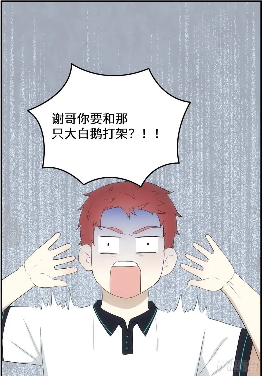 过去的故事-打架17