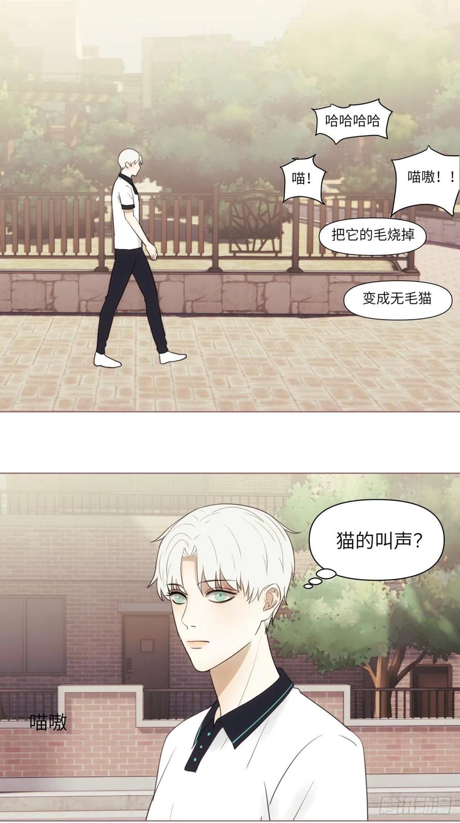 花朝和谢幕过去的故事313