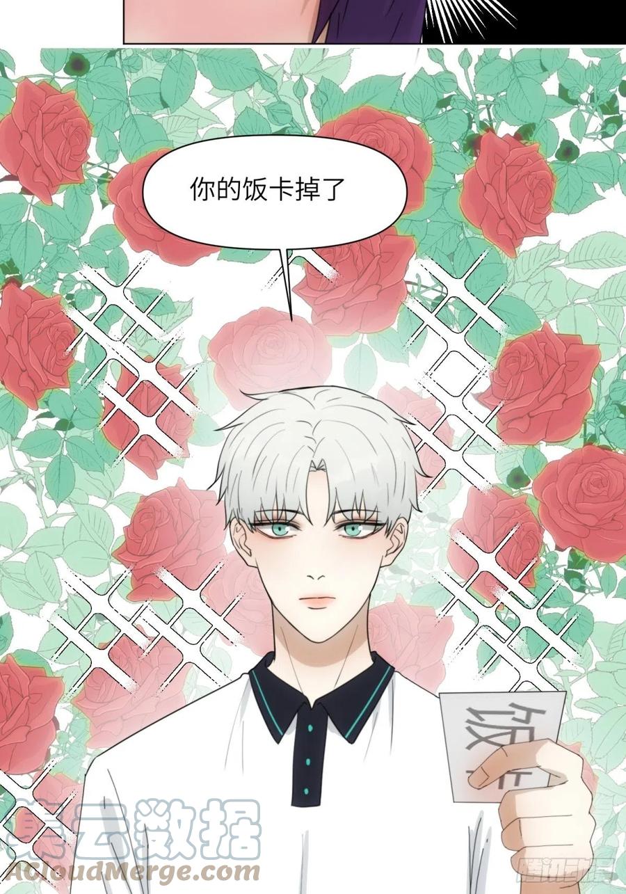 花朝和谢幕过去的故事266