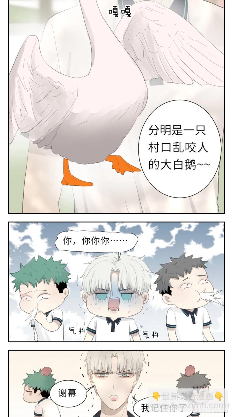 花朝和谢幕过去的故事222