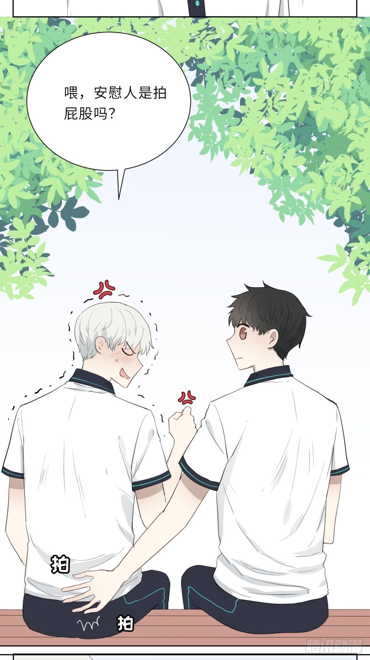 未分化3