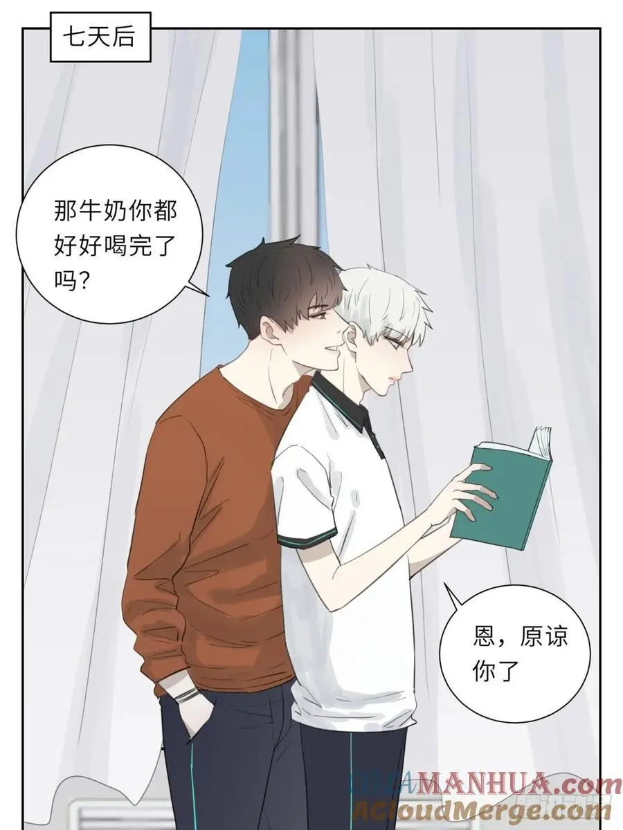 请你喝牛奶5
