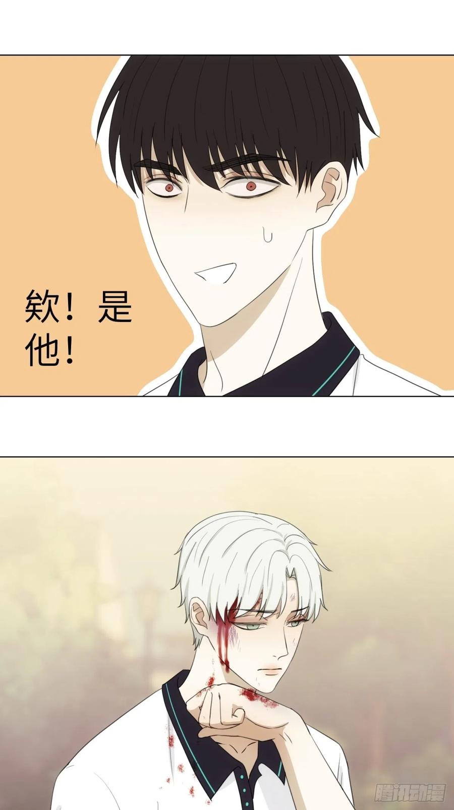 花朝和谢幕过去的故事329