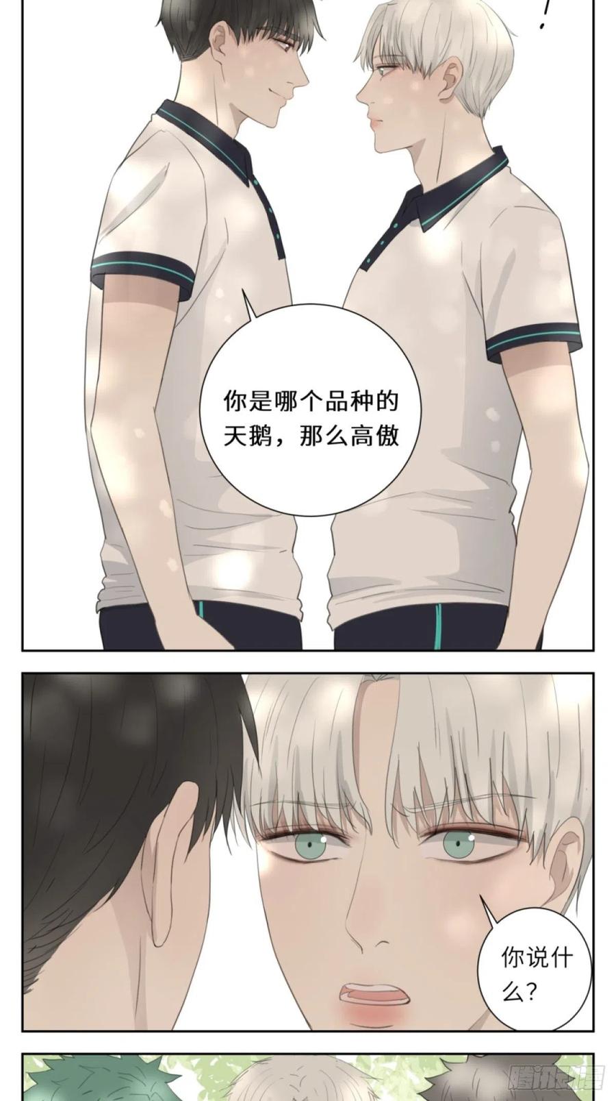 花朝和谢幕过去的故事219