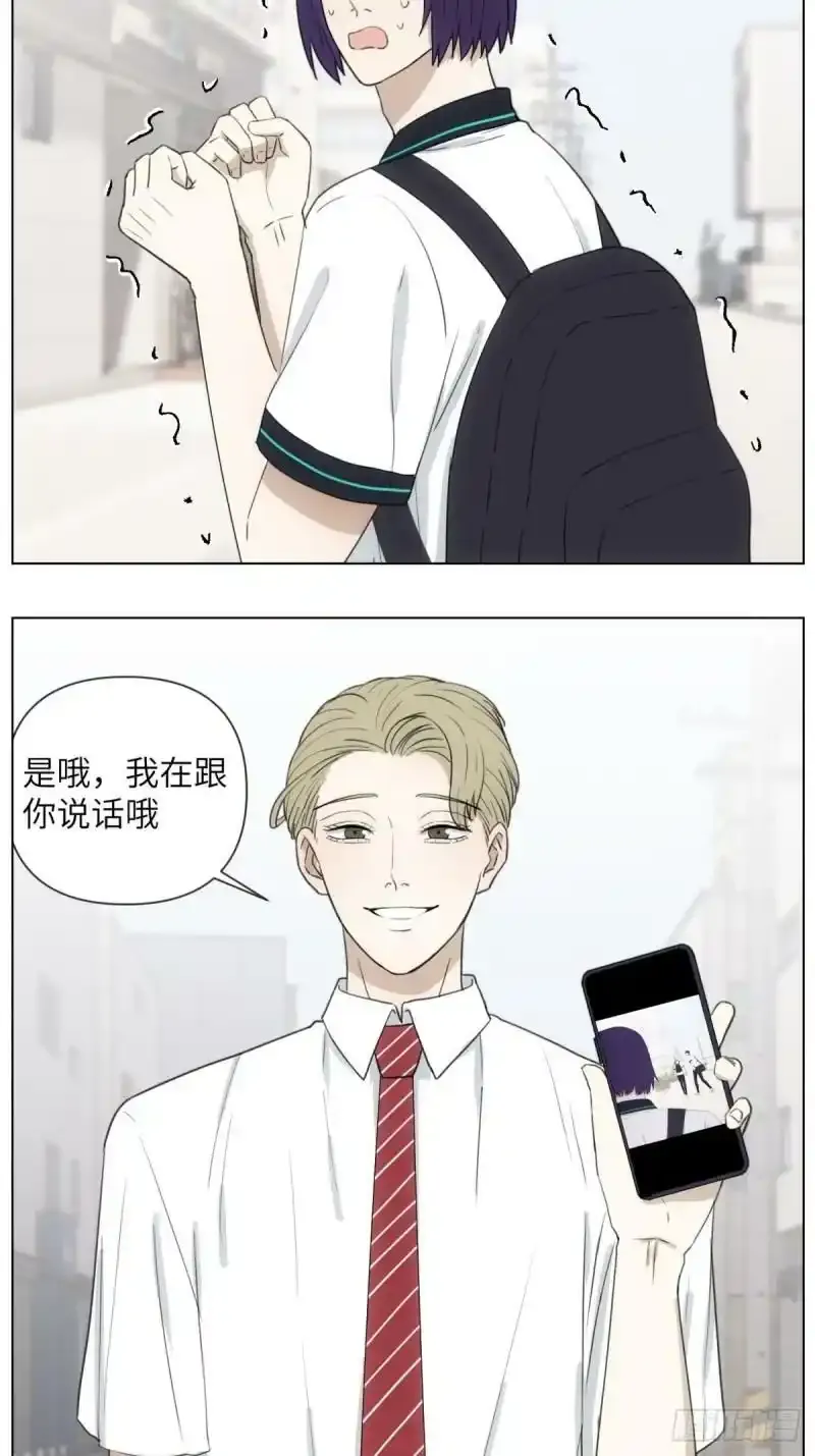我来帮你追他4
