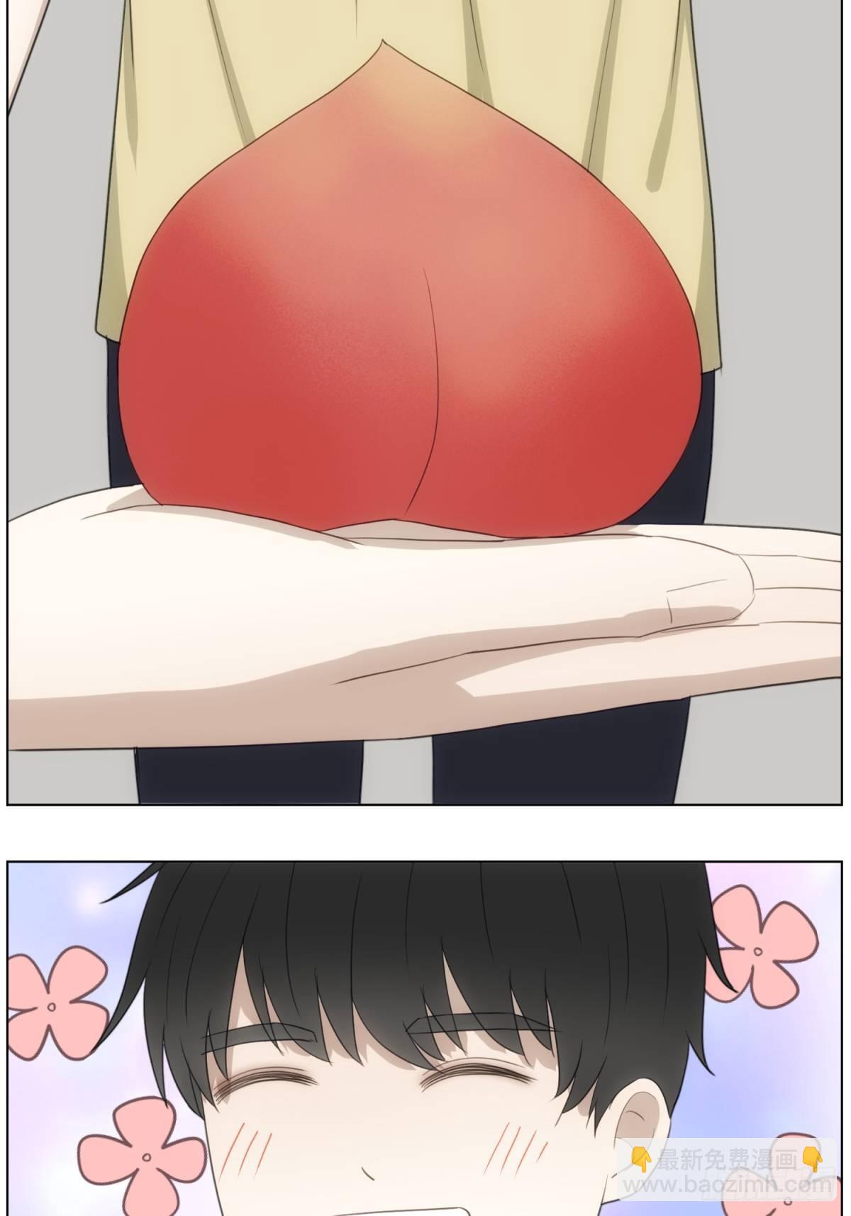 桃子5