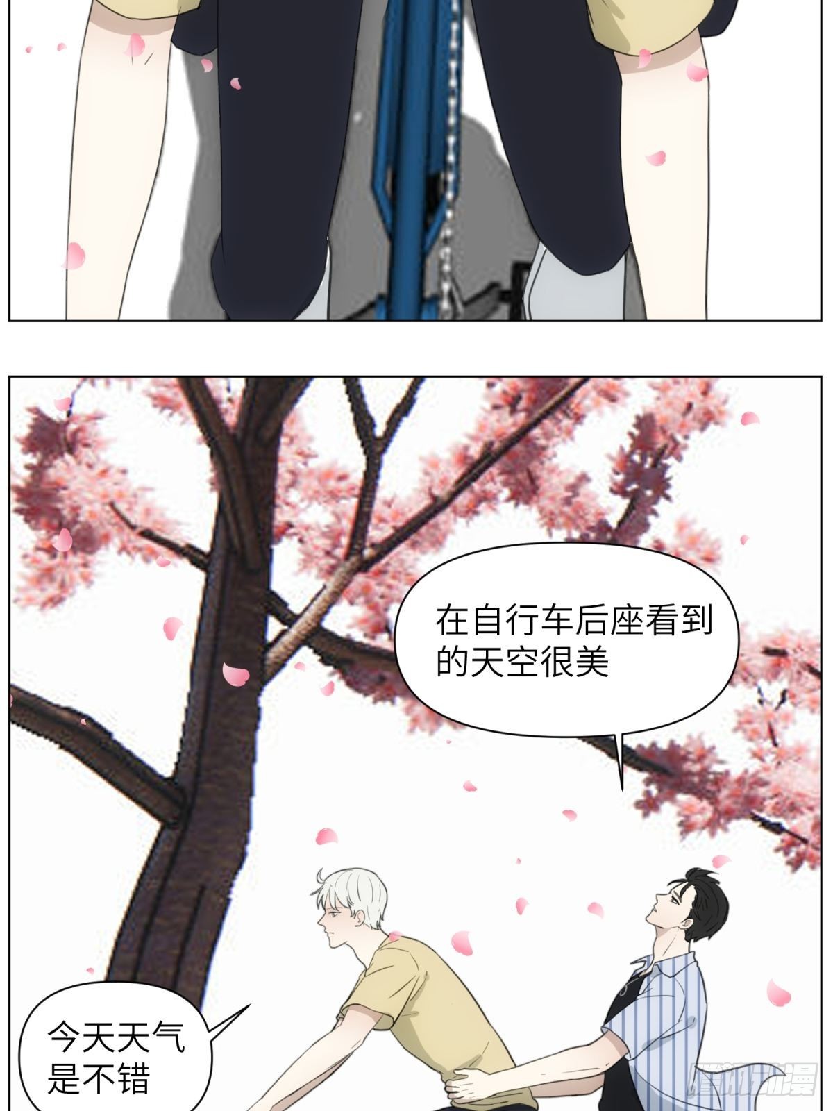 骑车看电影12