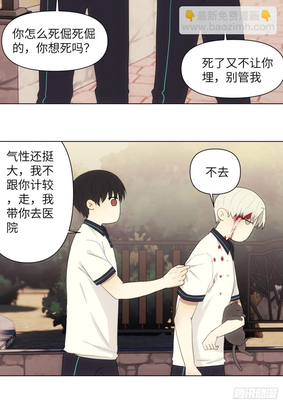 花朝和谢幕过去的故事339