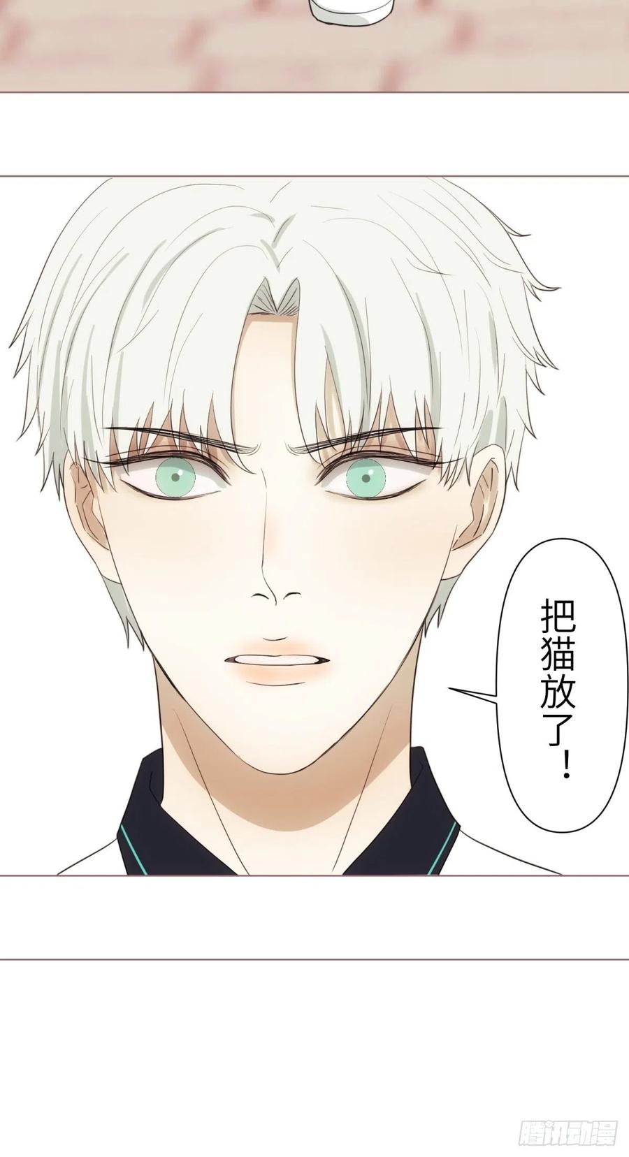 花朝和谢幕过去的故事319