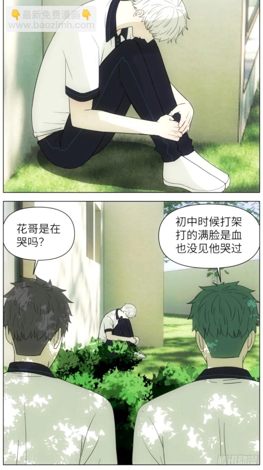 花朝和谢幕过去的故事228