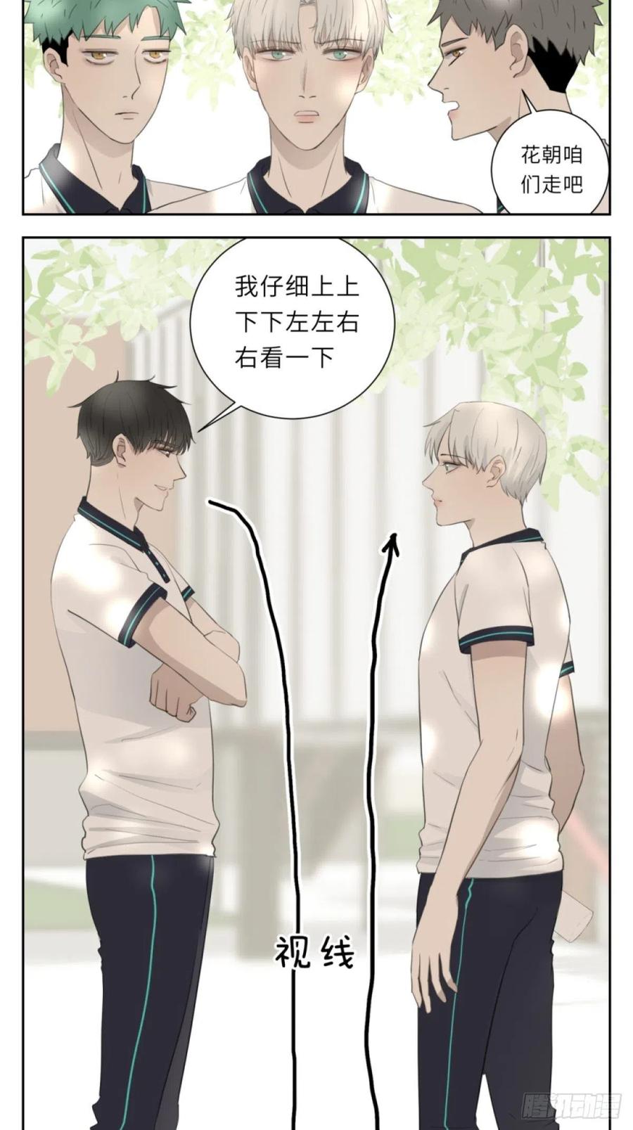 花朝和谢幕过去的故事220