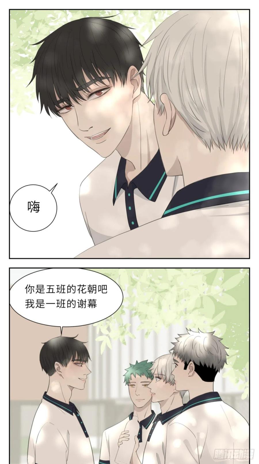 花朝和谢幕过去的故事216