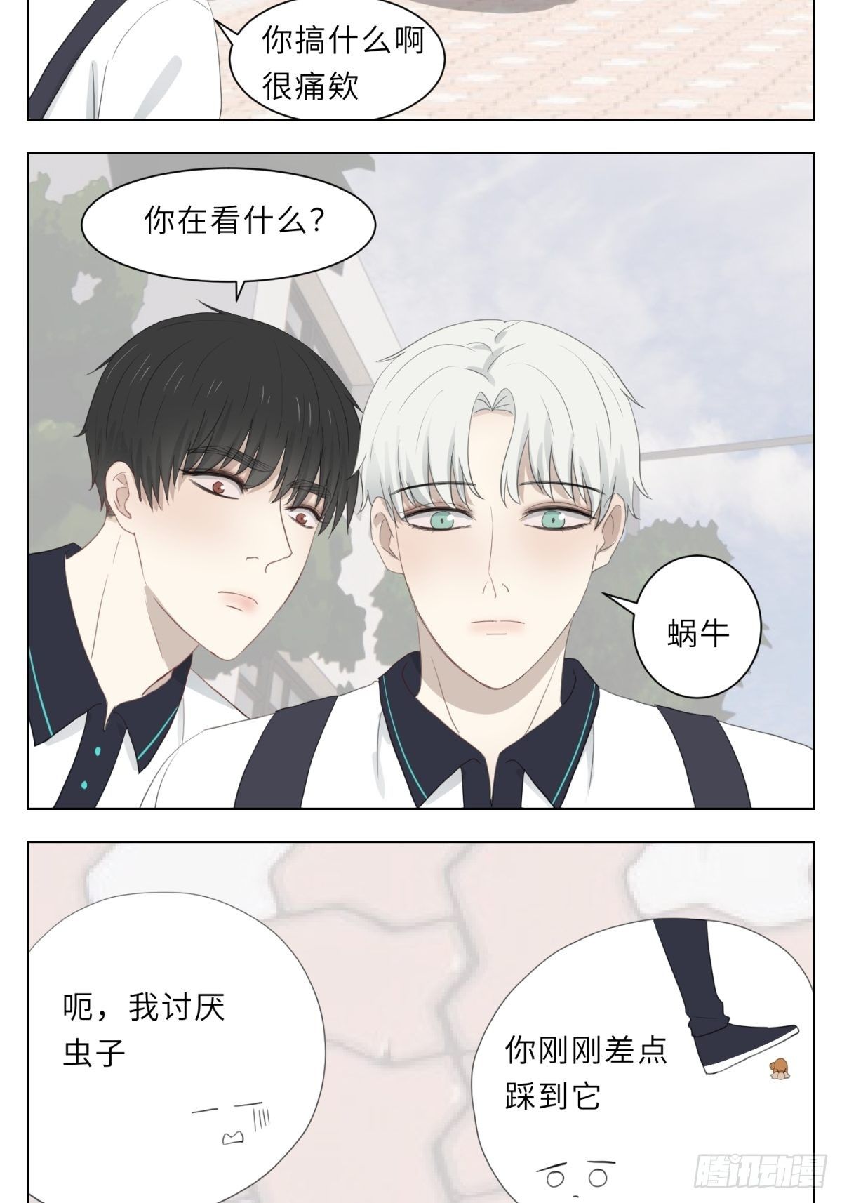 蜗牛8
