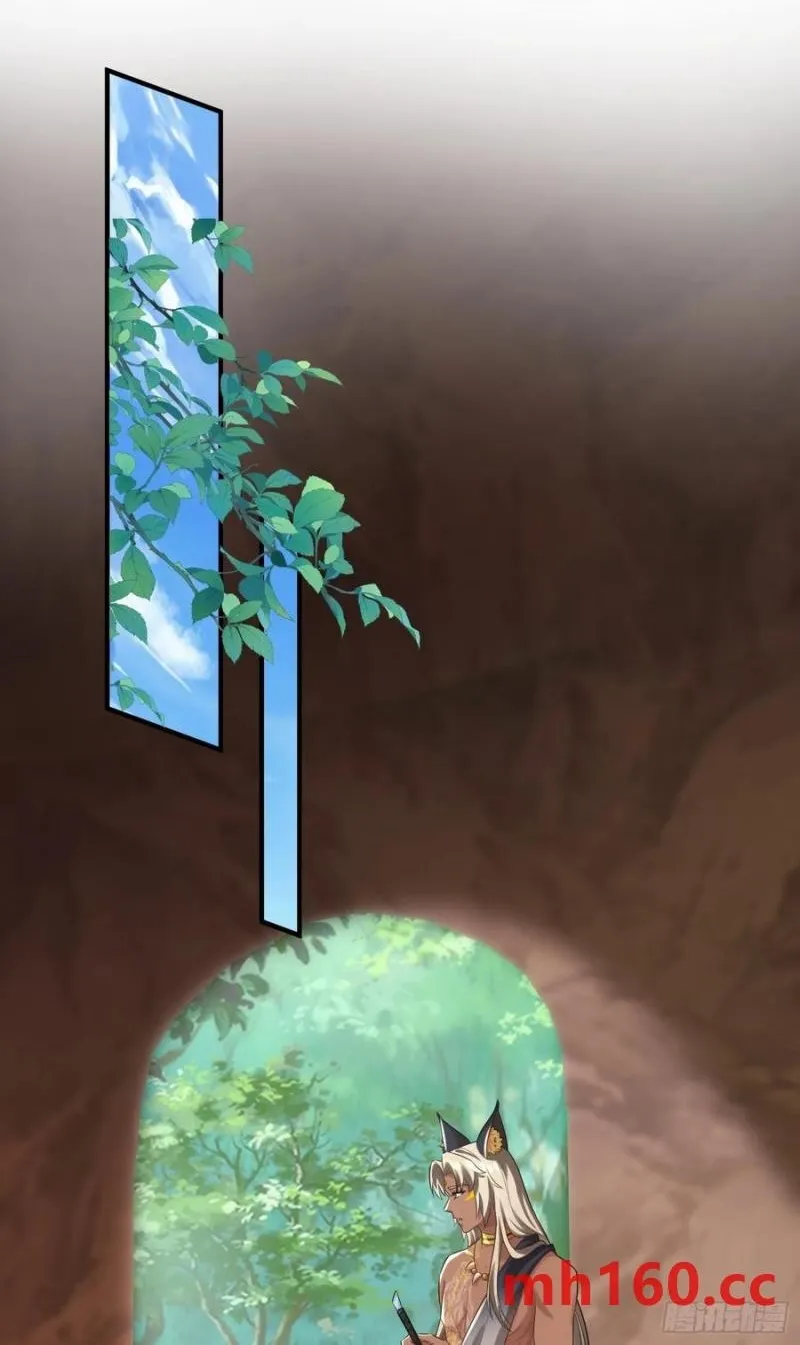 永不凋零的花1
