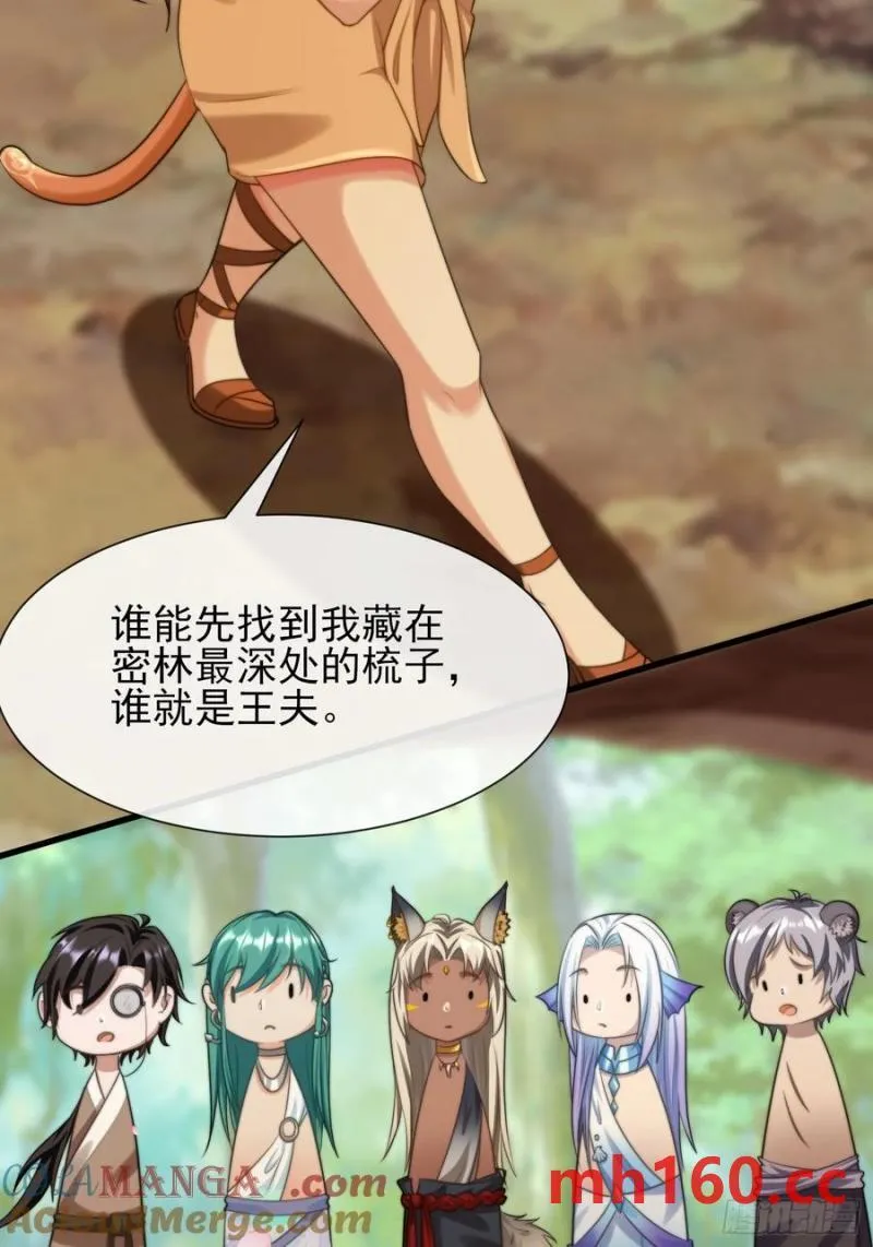 艾尔蕾斯的梳子8