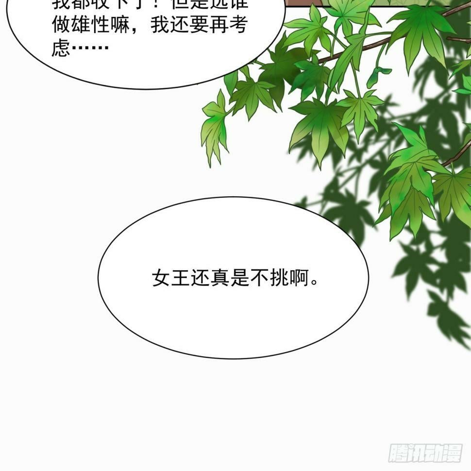 女王择婿15