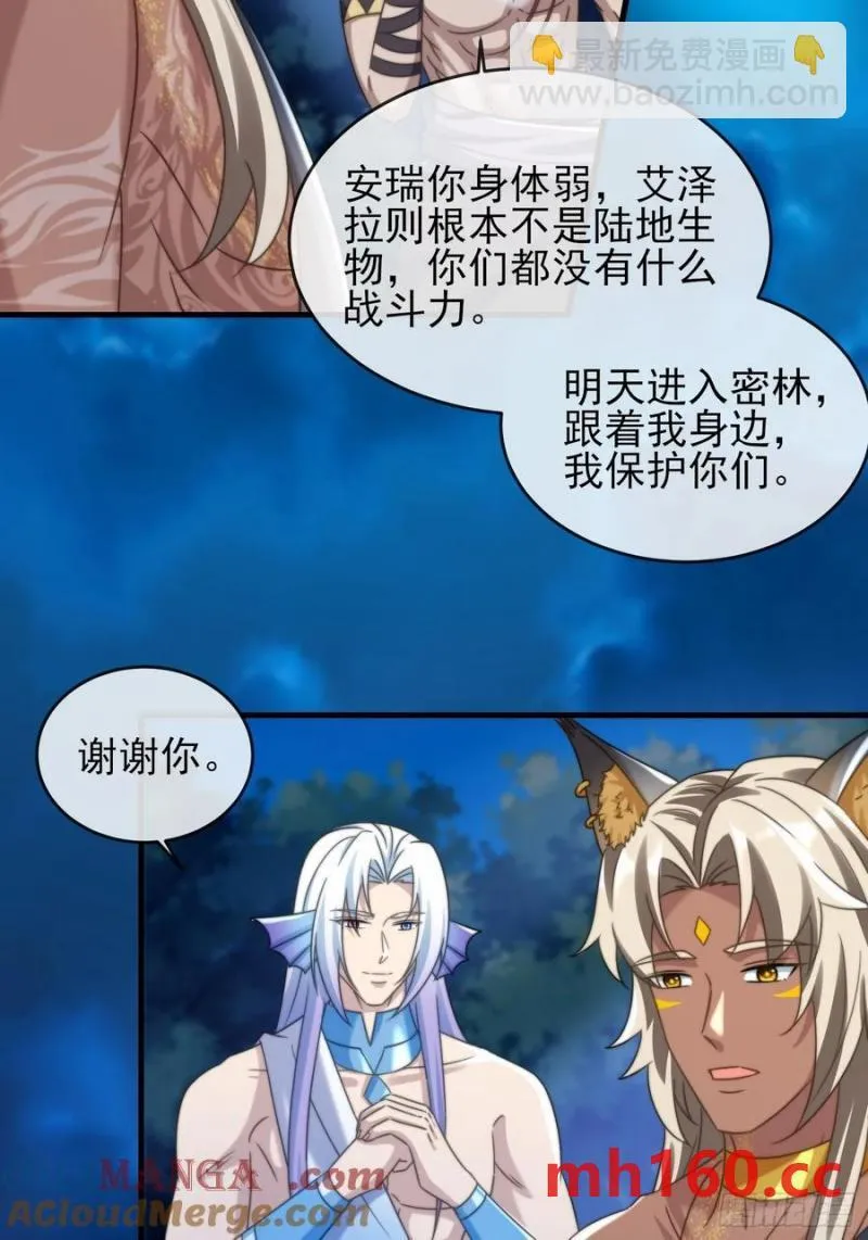 艾尔蕾斯的梳子18
