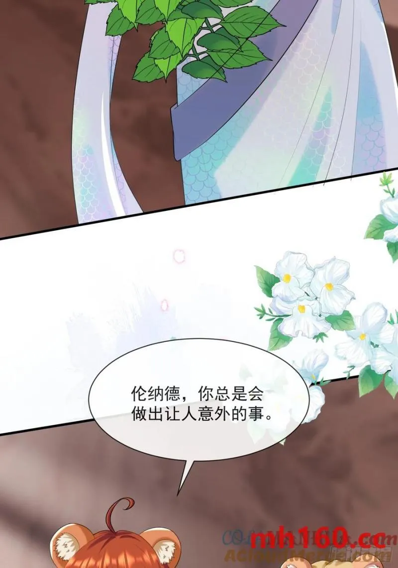 永不凋零的花30