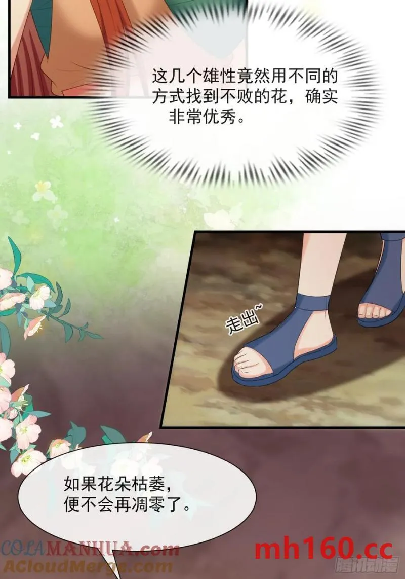 永不凋零的花28