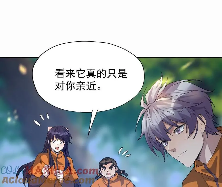 第56话 收养！神秘幼龙！68