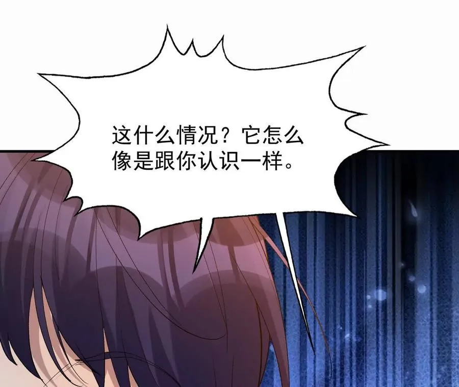 第56话 收养！神秘幼龙！65