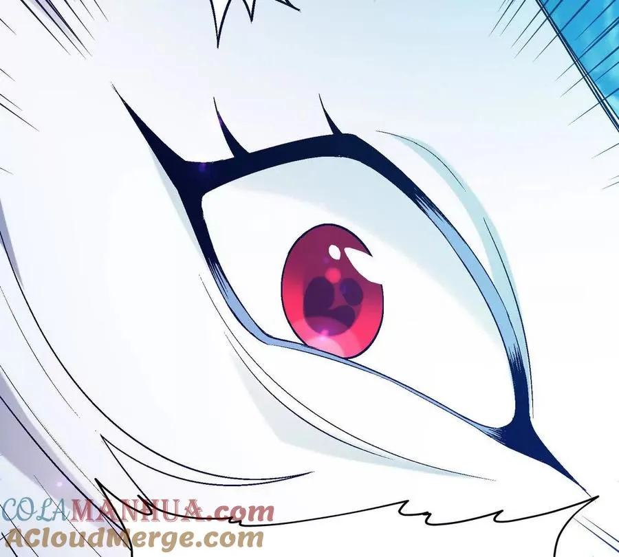 第15话 透露！升级的秘密！12