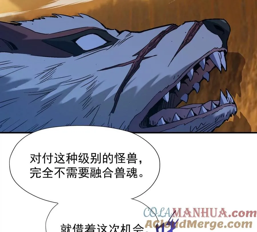 第5话 震惊！这是E级兽魂？8