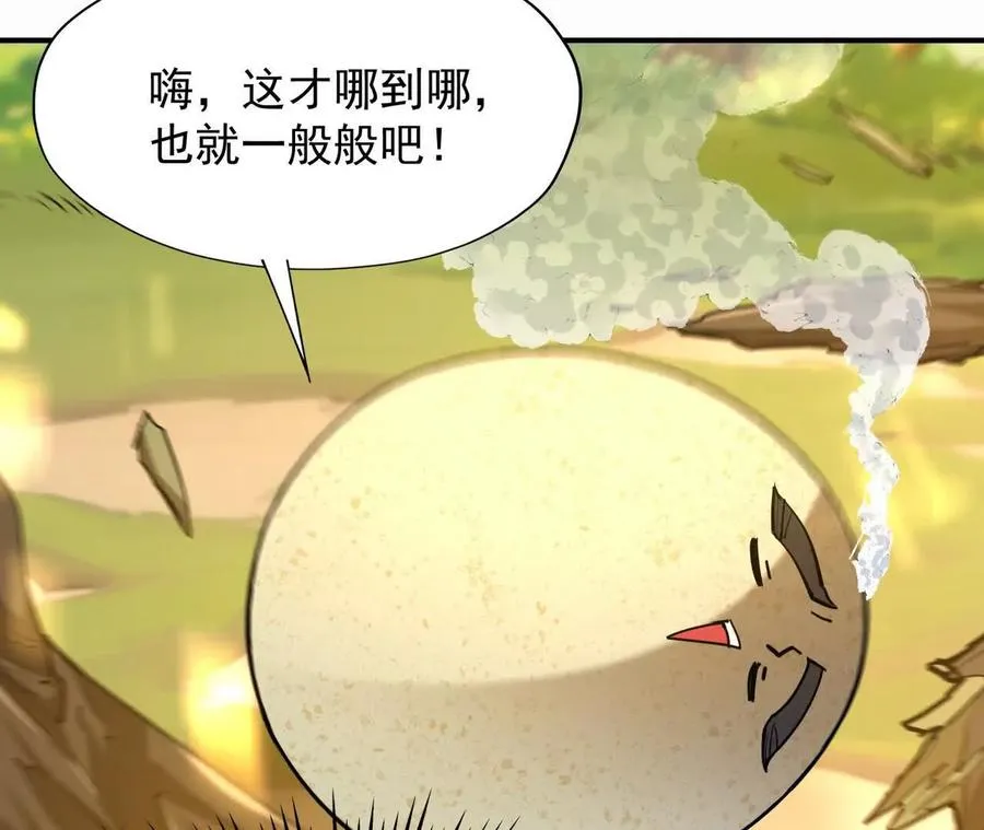 第54话 秘技！猛虎变！47