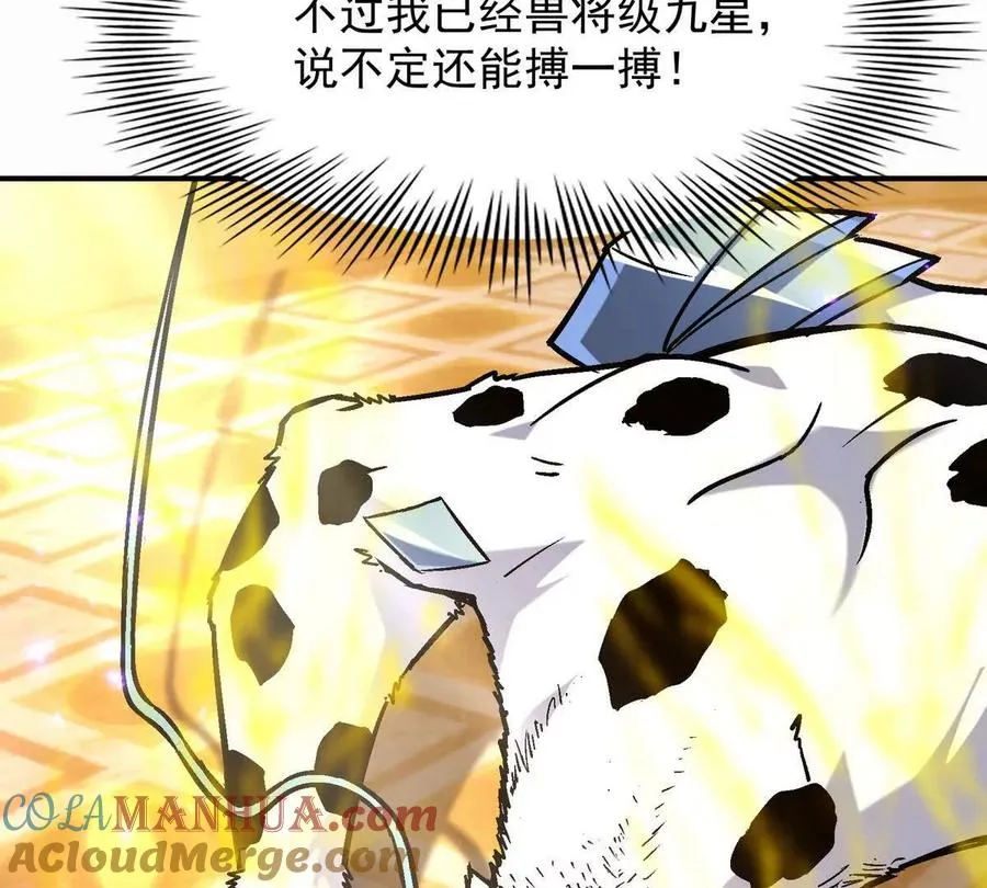 第24话 赌局！王金泽的算盘！44