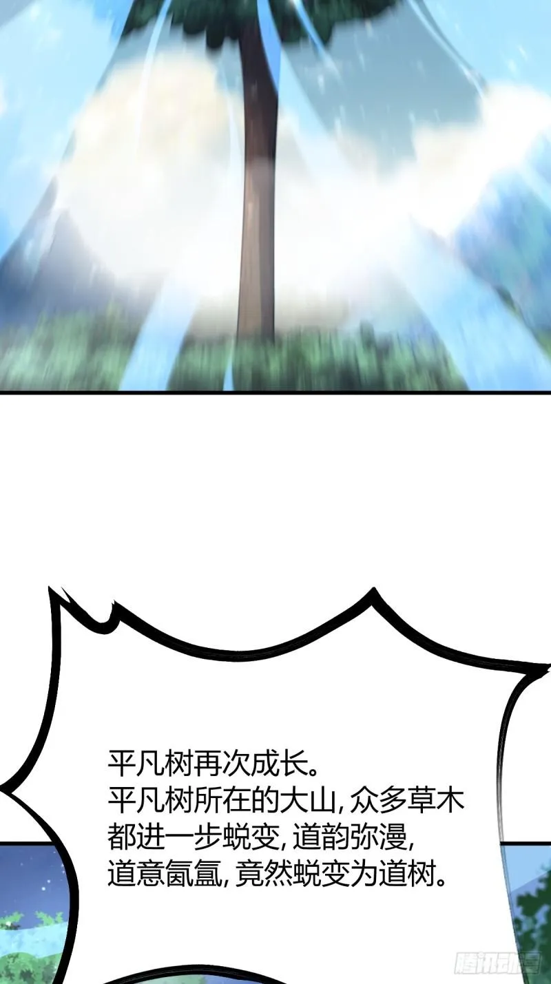 12729