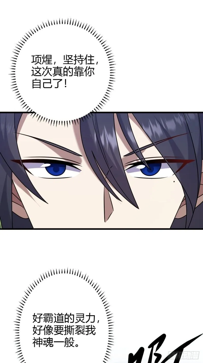 11817