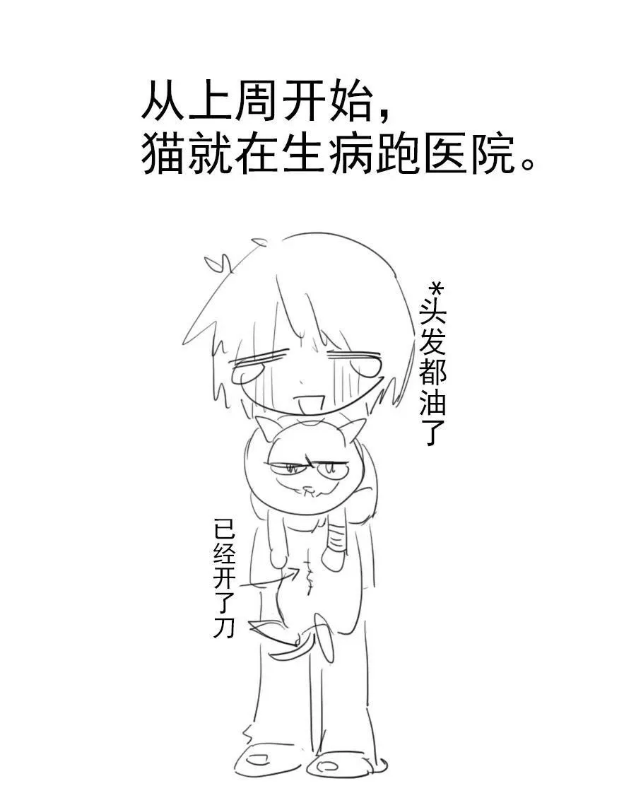 17 异型耳25