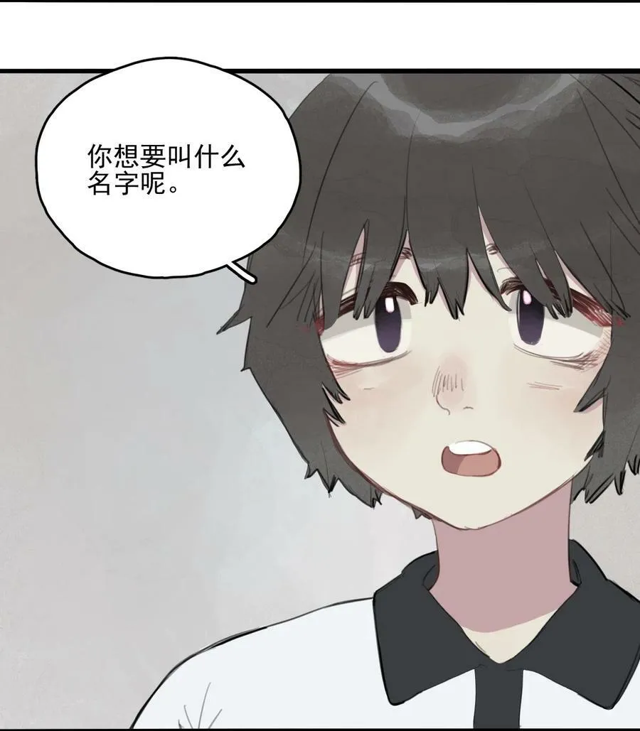 12 诗诗③11