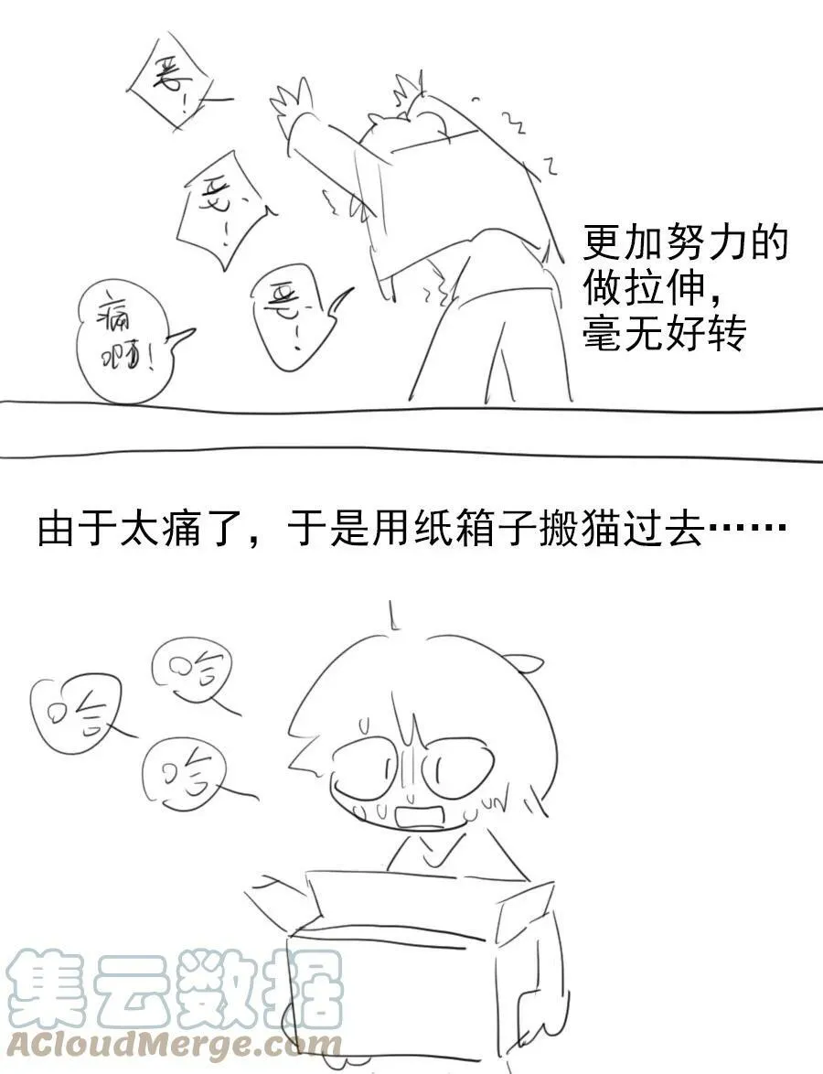 17 异型耳28