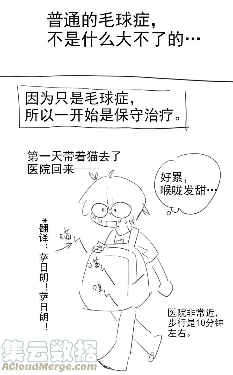 17 异型耳26