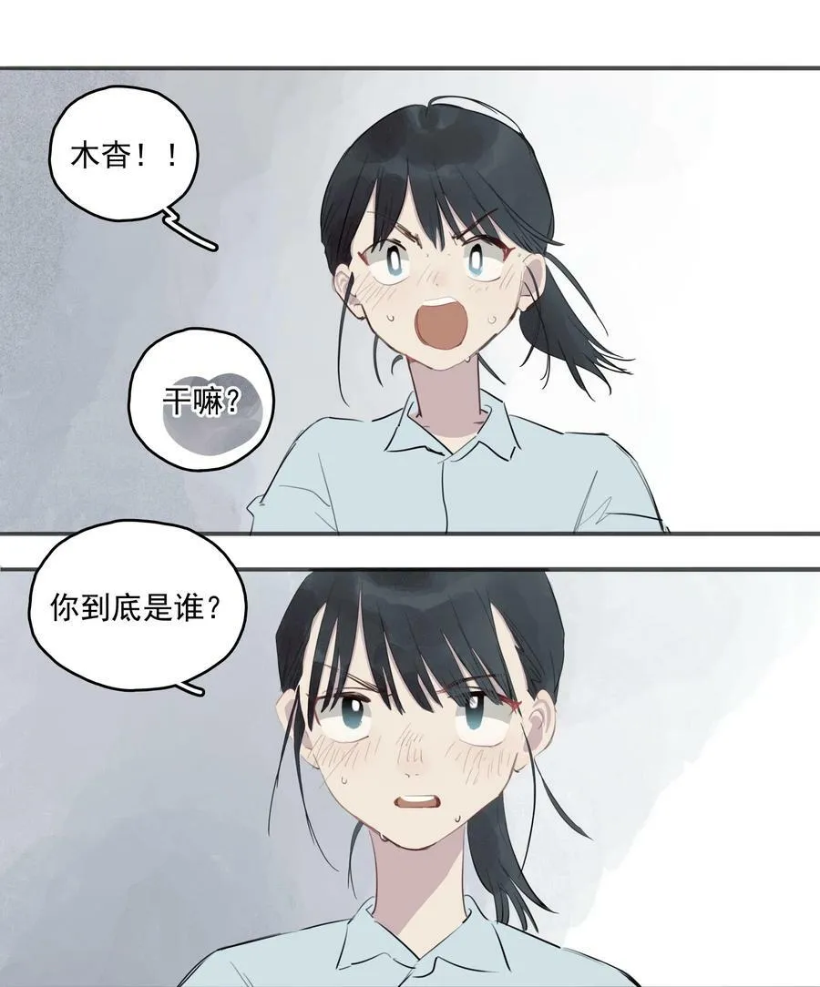 17 异型耳11