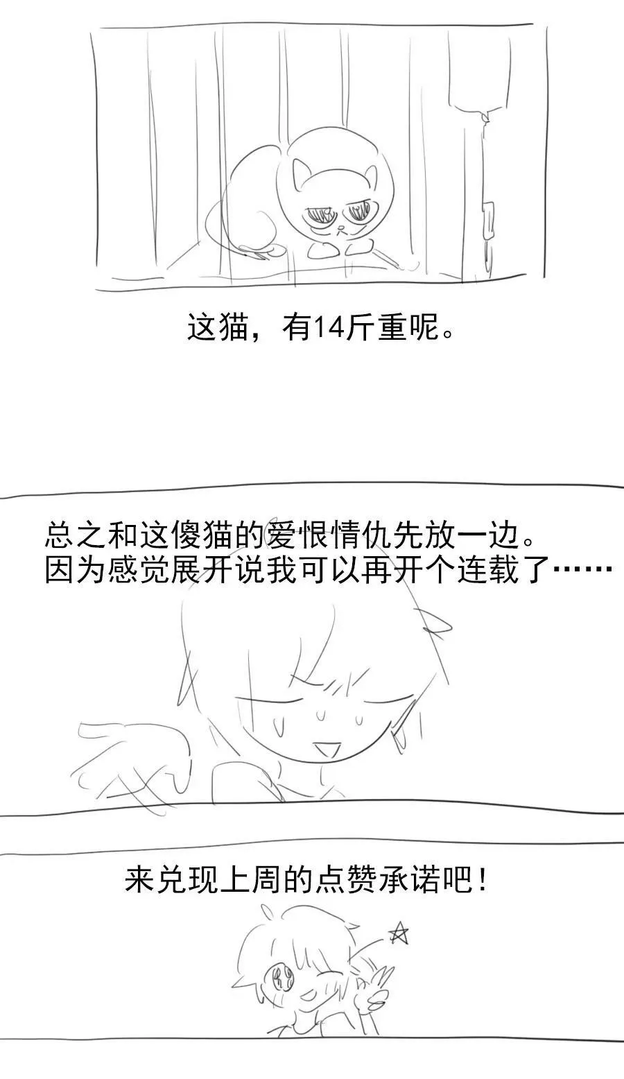 17 异型耳31