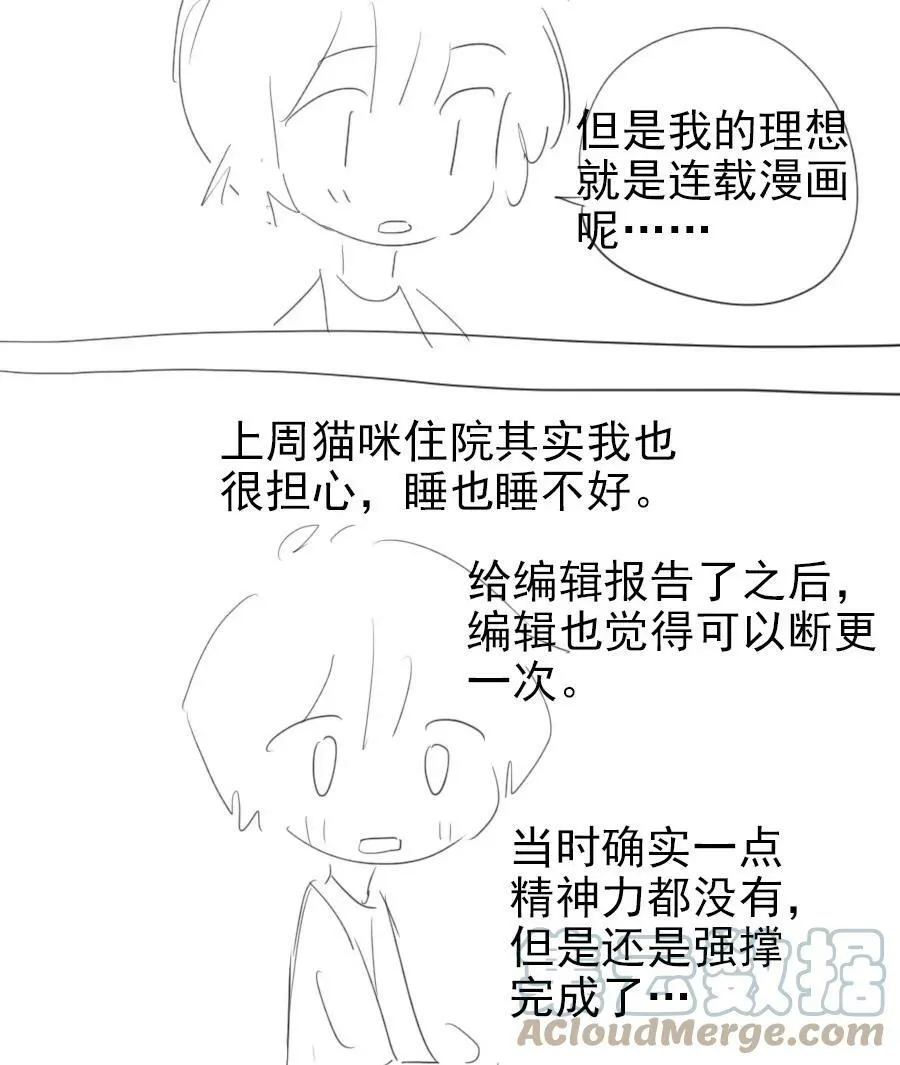 17 异型耳36