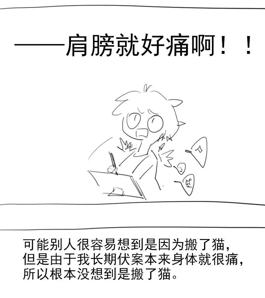17 异型耳27