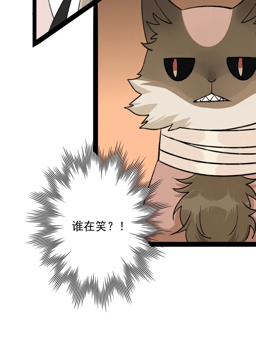 03 强制圈养2